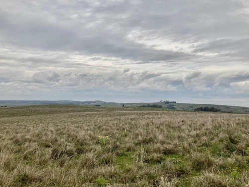 Imagen 4 de 6 de Venta Chacra Campo 142 Hectareas Vista Sierra Minas Lavalleja