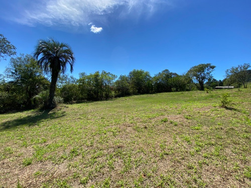 Chácara 4.300 M² - Lomba Grande - Novo Hamburgo - Rs - 2503 - 69237736