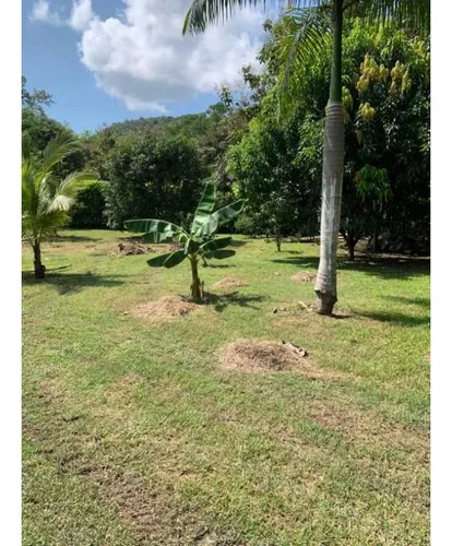 Finca Santa Fe De Antioquia Via A Bolombolo. Se Vende