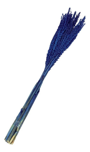Planta Seca Flor De Milho Azul 60 Cm