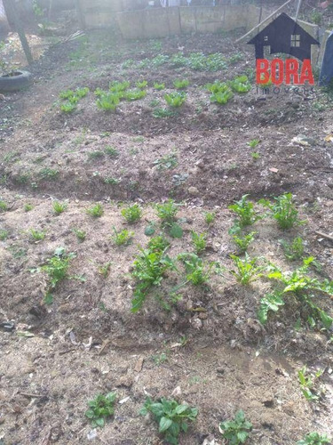 Imagem 13 de 14 de Chácara Com 2 Dormitórios À Venda, 840 M² Por R$ 499.000,00 - Vila Renascença - Mairiporã/sp - Ch0397
