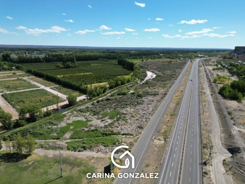 Terreno Sobre Ruta 22 - Villa Regina - Rio Negro