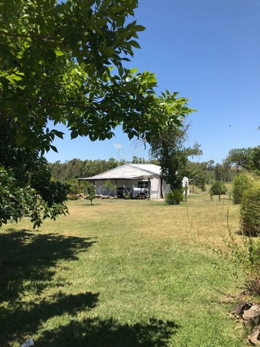 Imagen 10 de 27 de Chacra Muy Cerca De Ruta 104 Y Camino Egusquiza, Casa Y Piscina. Consulte!!!!