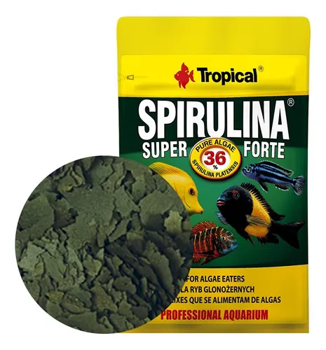 Tropical super top spirulina forte flakes