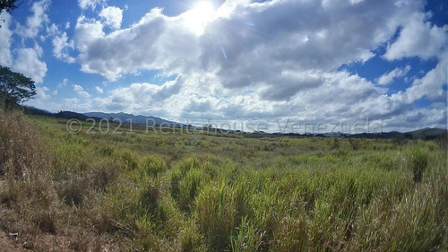 Imagen 19 de 30 de &&& Finca En Venta En Nirgua Yaracuy Rah 23-17575 // Invierta Seguro Con Rentahouse//