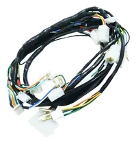 Comprar Chicote Principal Cg Titan 150 04u002F08 Es u002F Esd Cu002F Partida