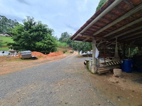 Imagem 2 de 13 de Belíssimo Sítio Localizado Em Pomerode, Bairro Ribeirão Souto, Com Área De 49.000 Metros Quadrados, Nascente De Água Dentro Do Terreno, Casa De Madeira, Galpão, Rancho Para Gado, Totalmente Cercad