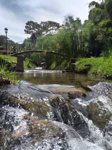 Encantadora Finca En Venta Guarne Vereda El Molino