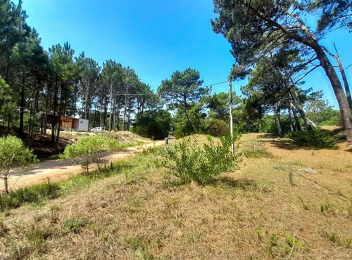 Imagen 7 de 7 de Terreno En Venta En Barra Verde