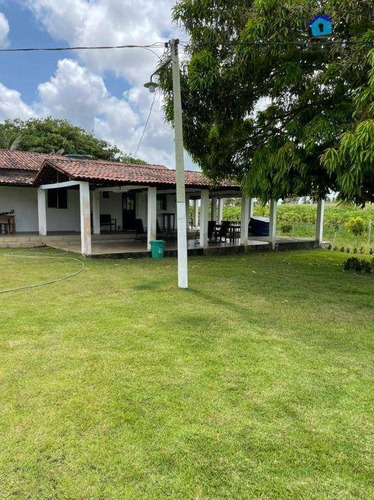 Imagem 14 de 30 de Granja Com 13 Hectares E Plantação Rentabilizando - Ch0065