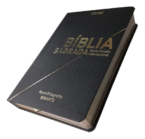Bíblia Sagrada Nvi Média Letra Gigante - Capa Luxo 