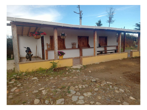 Imagen 7 de 7 de Finca Pequeña En Abejorral.tierra De Aguacate