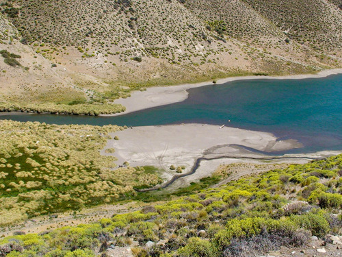 Campo En Venta En Alicura