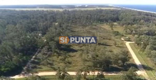 Imagen 3 de 5 de Chacra En Venta - Club De Polo