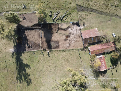 Imagen 7 de 27 de Campo De 600 Has En Venta En Gualeguaychu - Muy Buen Campo Ganadero De 0,7 Ev/ha Con Casco