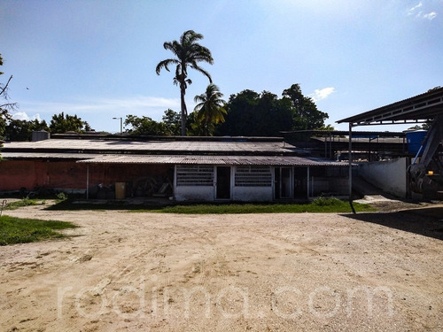 Imagen 18 de 29 de Granja Agrícola Y Porcina Turmero, De 5.7 Hectáreas 04123465023