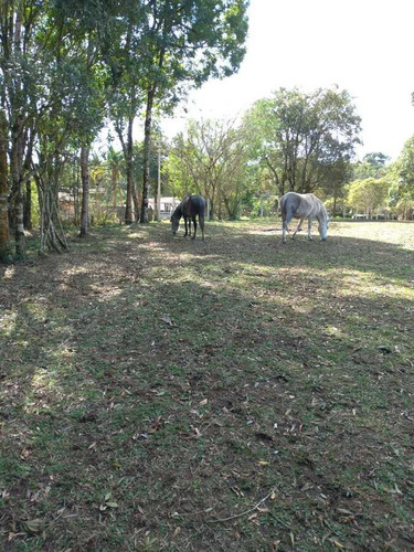 Imagem 12 de 15 de Sítio / Chácara Para Venda Em São José Dos Pinhais, Campo Largo Da Roseira, 3 Dormitórios, 1 Banheiro - 106_2-1239671
