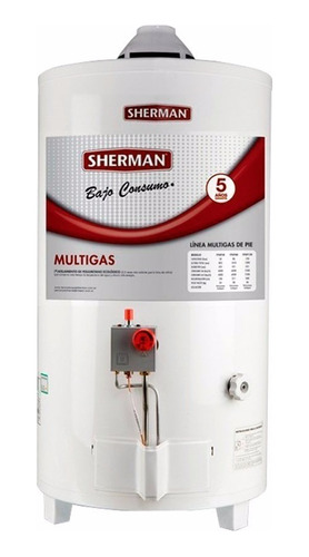 Termotanque A Gas Sherman By Rheem De Pie 50 Lts C. Superior