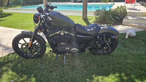 Harley Davidson Iron 883