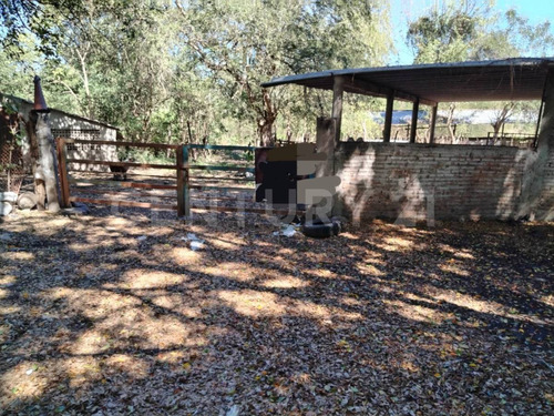 Rancho En Venta Ejido Los Asmoles