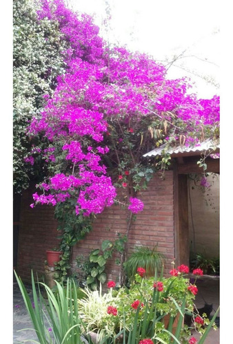 Imagen 29 de 30 de Venta Casa Sobre Av. Donato Alvarez-3 Dorm.-2 Baños-patio-pileta-villa Allende-córdoba-argentina