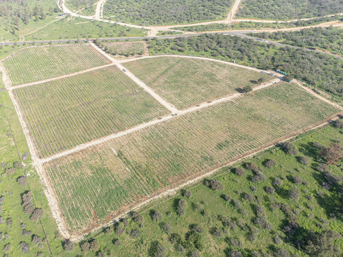 Imagen 4 de 44 de Hacienda Los Aromos
