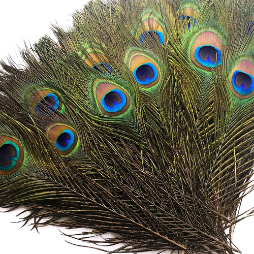 Piokio 10 Plumas Naturales De Pavo Real A Granel De 10 A 12