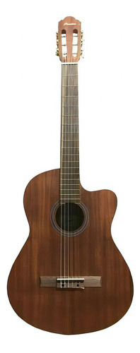 Guitarra Electroacústica Bamboo  Con Funda Gc-39-maho-q