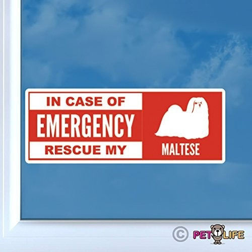 Sticker De Emergencia Para Rescate De Mi Maltese