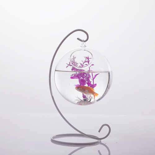 Forma De Pendurado Na Parede Vaso De Flores Planta Garrafa
