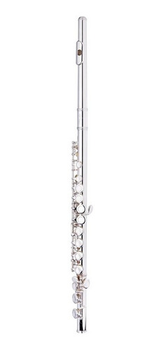 Flauta Traversa Do C Stagg Wsfl111 16 Llaves + Estuche