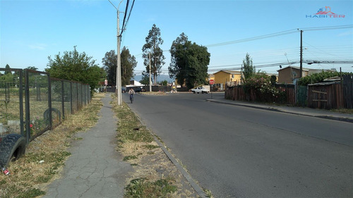 Sitio En Curicó