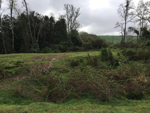 Hermosa Parcela En Rapaco Sector Los Canales La Union