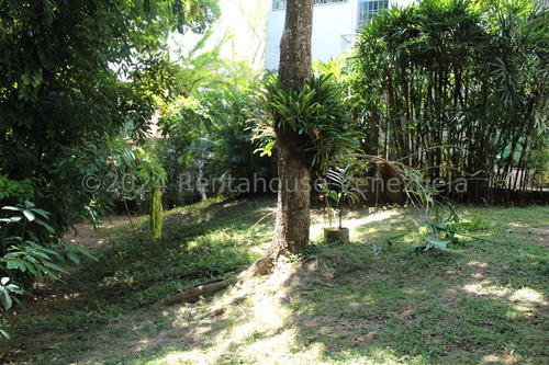 Bella Casa En Alquiler Los Palos Grandes Rah Mls24-19487