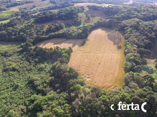 Imagem 6 de 14 de Chacara - Tiete - Ref: 573 - V-573