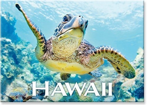 Imán De Nevera Coleccionable De Arte Hawaiano - Sea Turtle H