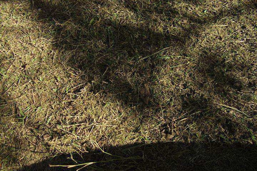 Imagem 3 de 8 de Terreno, Recanto Sombra Do Ipê, Santana De Parnaíba - R$ 980 Mil, Cod: 66900 - V66900