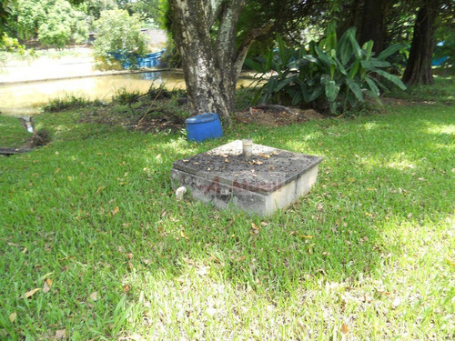 Imagem 3 de 30 de Chácara Pq. Jambeiro - Ch0029