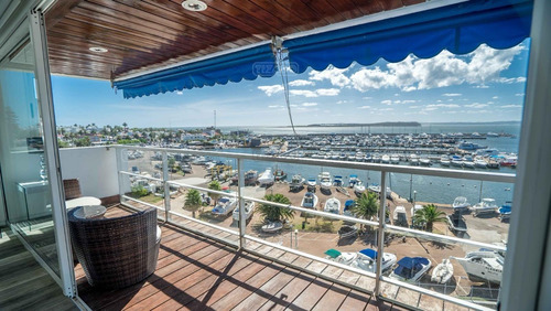 Imagen 2 de 15 de Fontaine Departamento Apartamento Piso Semipiso 3 Dormitorios 4 Dormitorios 5 Dormitorios 6 Dormitorios Alquiler Venta Puerto Península, Punta Del Este