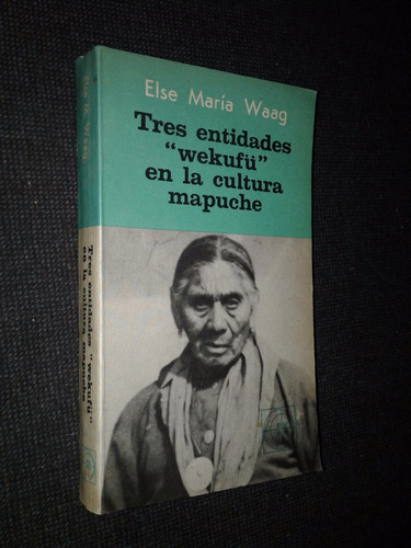 Tres Entidades Wekufu En La Cultura Mapuche Else Maria Waag