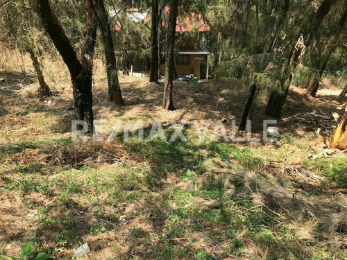 Imagen 5 de 8 de Terreno En Venta.