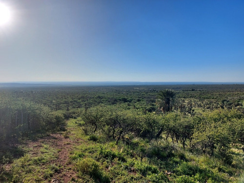 23 Hectáreas, Excelente Ubicación, Insuperable Vista