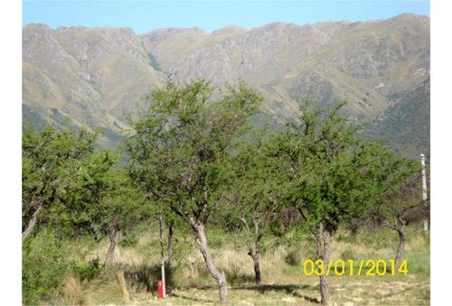Imagen 2 de 18 de Loteo El Solar, Simplemente El Mejor De Carpinteria