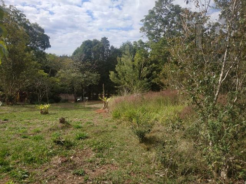Imagem 1 de 10 de Cód 5735 - 1.374 M² De Frente Para O Asfalto Com Água Da Sab - 5735