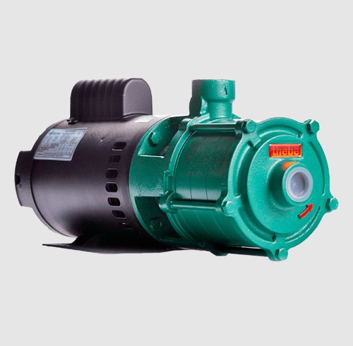 Bomba Thebe / Weg Monofásica P-11/2 Noryl 1 Cv 127/220v