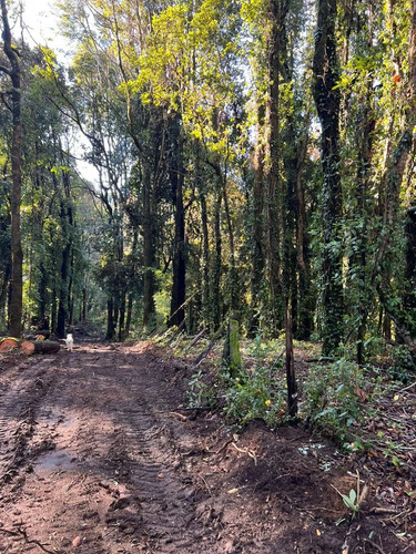Camino Huichahue