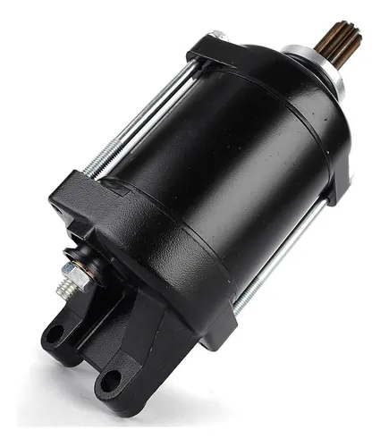 motor ninja 2010