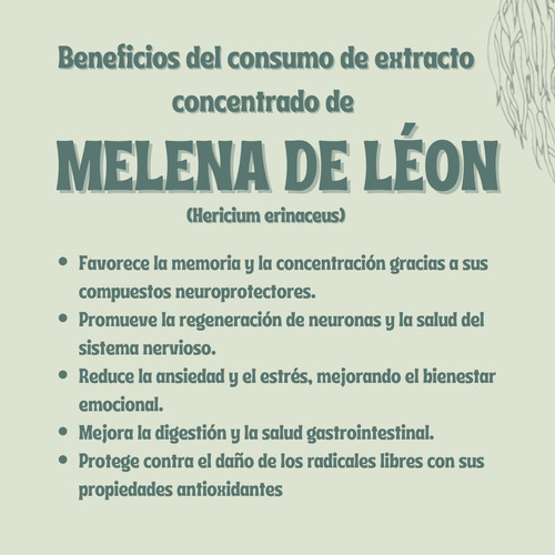 Combo Ashwagandha + Melena De León Extracto - Cápsulas 500mg Sin Sabor