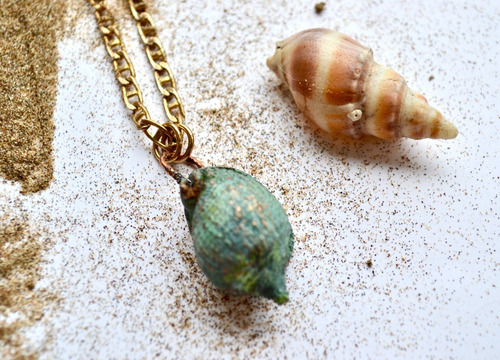 Imagen 3 de 4 de Collar De Caracol De Mar, Joyeria Natural, Cod1