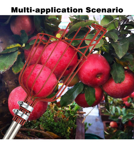 Imagen 3 de 8 de Recolector De Frutas Ajustable Con Cesta De Metal Giratoria